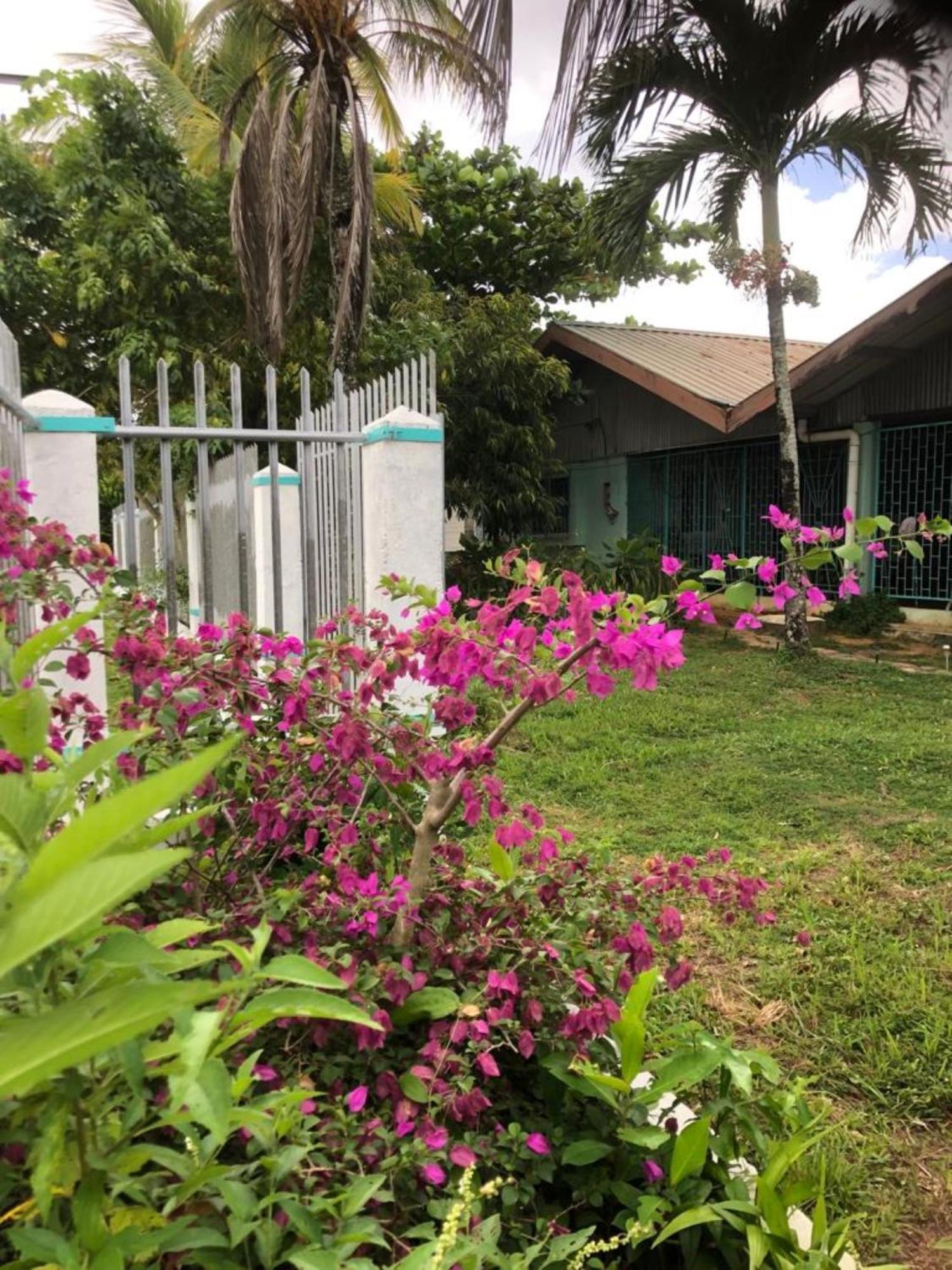 Unu Pikin Guesthouse Paramaribo Zewnętrze zdjęcie