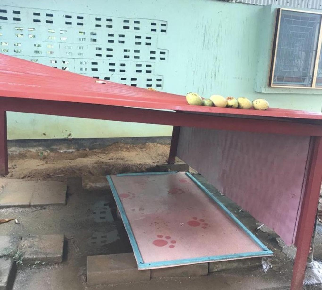 Unu Pikin Guesthouse Paramaribo Pokój zdjęcie